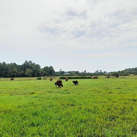 Lotus Retreat הו צ'י מין סיטי מראה חיצוני תמונה