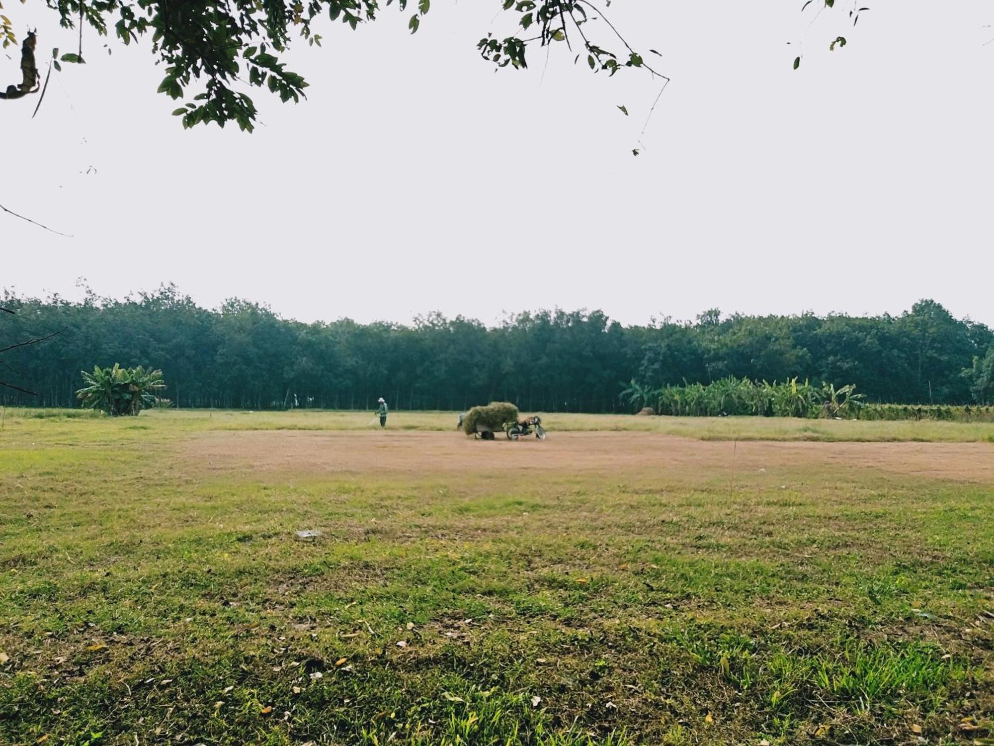 Lotus Retreat הו צ'י מין סיטי מראה חיצוני תמונה