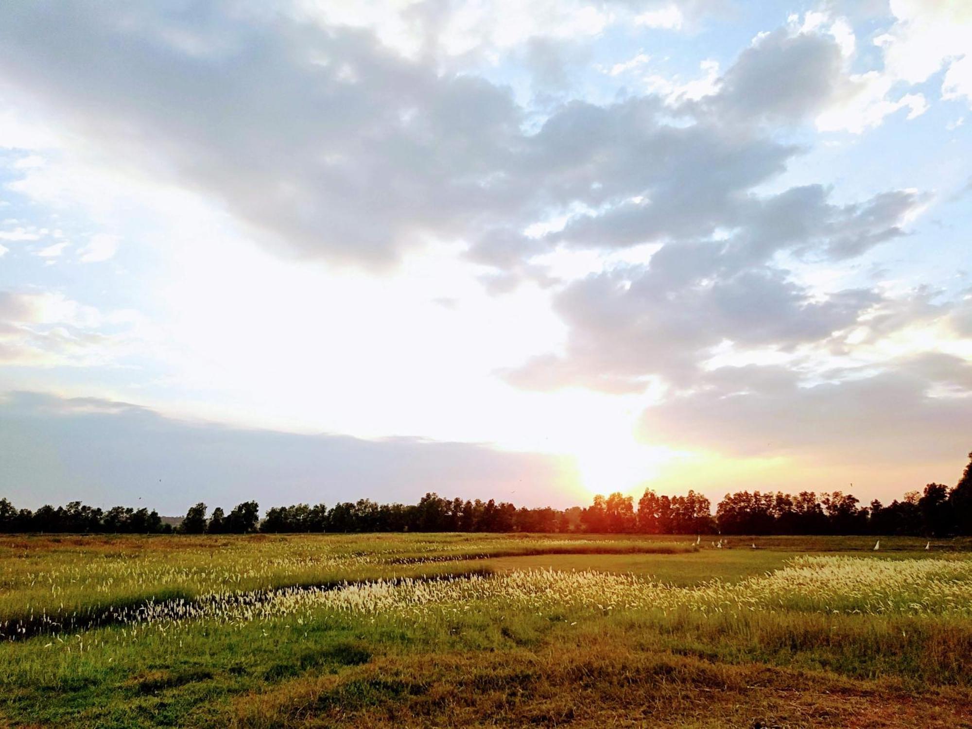 Lotus Retreat הו צ'י מין סיטי מראה חיצוני תמונה