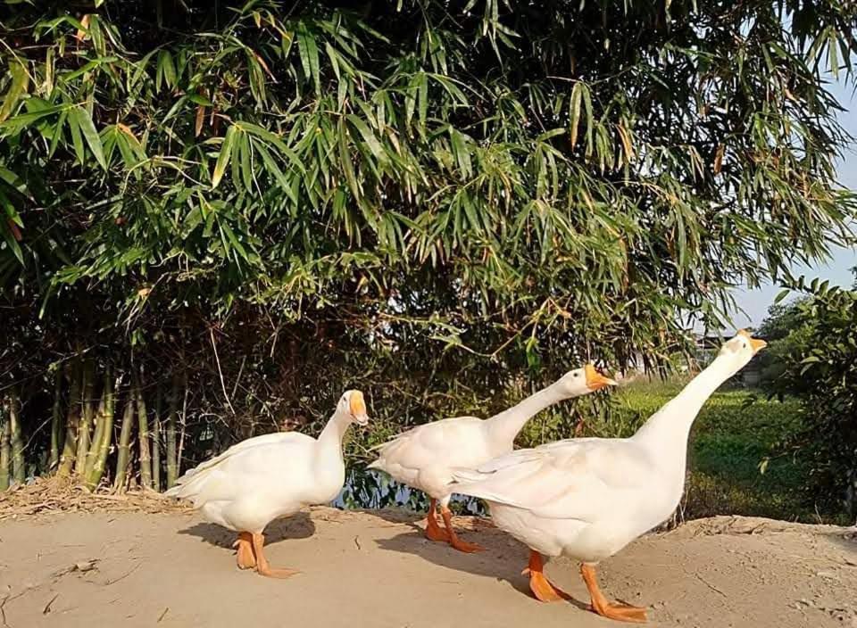 Lotus Retreat הו צ'י מין סיטי מראה חיצוני תמונה